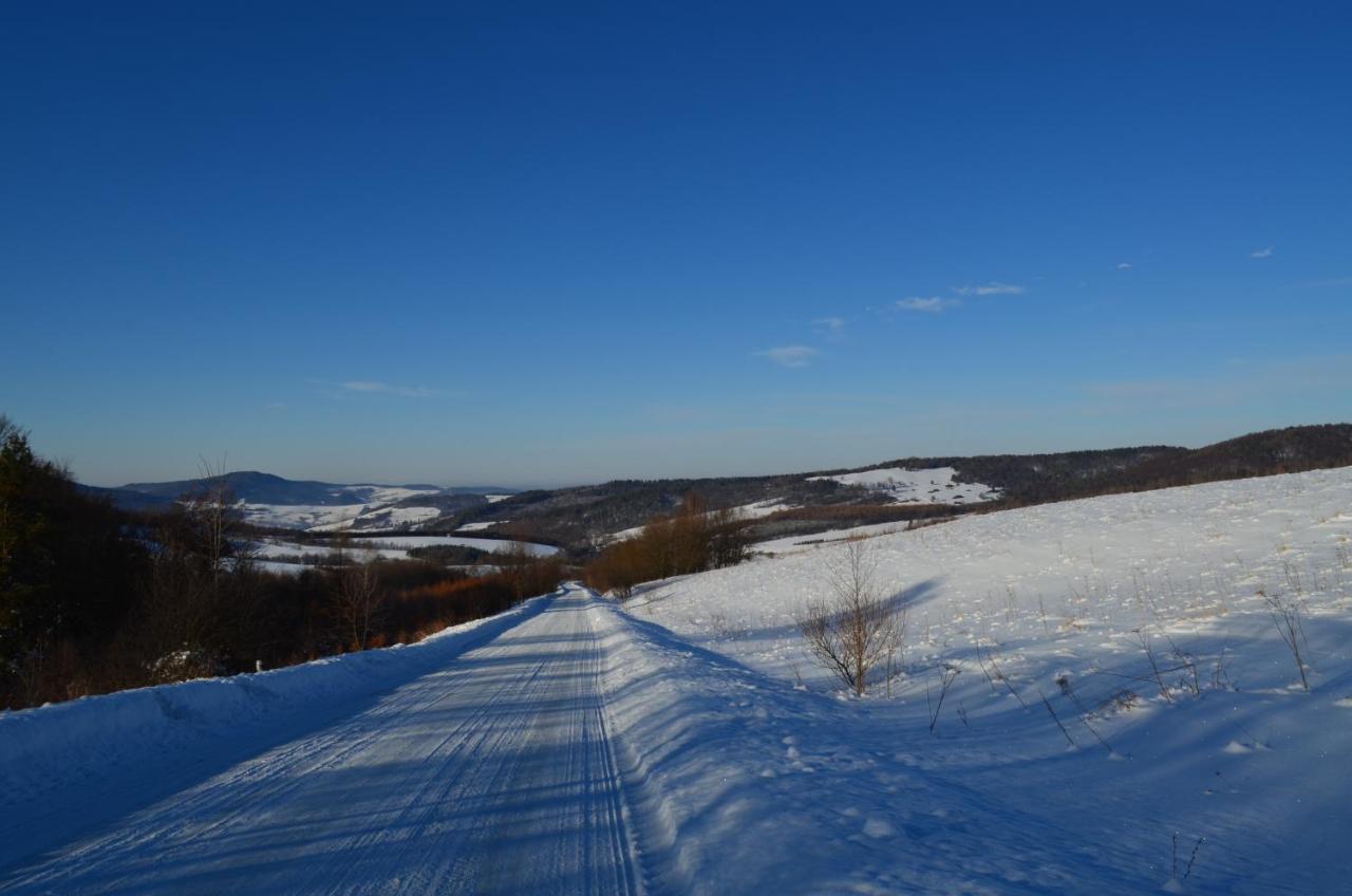 Domki Zlota Rybka Nad Jeziorem Solinskim ซาโวซ ภายนอก รูปภาพ